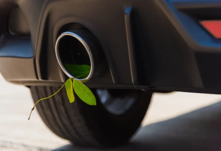 Leaf emerging from car exhaust - Emissions Recall Alert